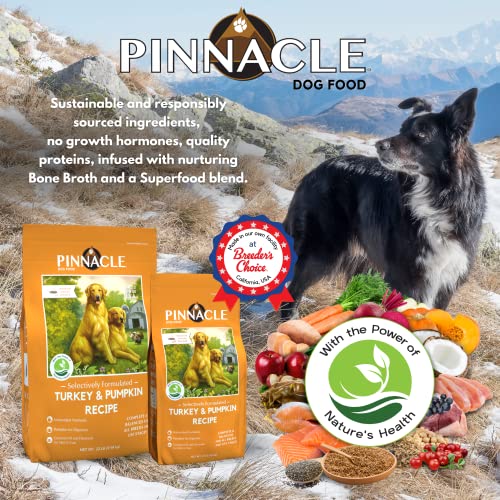 Pinnacle Pet Pinnacle Turkey & Pumpkin Dry Dog Food 4 lb, Infused with Broth