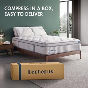 14 Inch King Mattress in a Box, Lechepus Plush Memory Foam Hybrid Mattress with Pocket Innerspring, Soft But Supportive Mattress for Pressure Relief, King Size 76"*80"