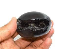 Shaligram Laxmi Narayan Saligram Vasudev Shaligram Pooja Item Diwali Item Dhanteras Vishnu Shaligram from Gandaki River Nepal (Black)