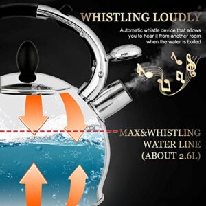 SUSTEAS Stove Top Whistling Tea Kettle-Surgical Stainless Steel Teakettle Teapot with Cool Touch Ergonomic Handle,1 Free Silicone Pinch Mitt Included,2.64 Quart(SILVER)