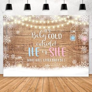 aperturee it's cold outside baby shower backdrop 7x5ft he or she gender reveal winter wonderland christmas xmas rustic wood floor snowflake photography background party decorations banner photo booth
