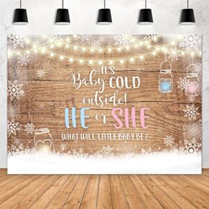 Aperturee It's Cold Outside Baby Shower Backdrop 7x5ft He or She Gender Reveal Winter Wonderland Christmas Xmas Rustic Wood Floor Snowflake Photography Background Party Decorations Banner Photo Booth