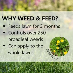 Jonathan Green (16002) Veri-Green Weed and Feed Lawn Fertilizer - 21-0-3 Grass Fertilizer & Weed Killer (5,000 Sq. Ft.)