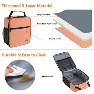 CCidea Lunch Box for Men Women Adults, Portable Insulated Lunch Bag for Office Work Picnic, Reusable Small Bento Lunch Box (Inulin)