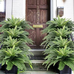 Artificial Ferns for Outdoors, Set of 2 Bouquets 33" Diam Large Fake Ferns Faux Boston Fern Bush Plant for Indoors Home Garden Porch Windowsill Entrance Wedding Farmhouse Decoraction Arrangement