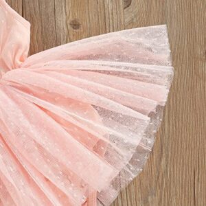 Mubineo Infant Baby Baby Girl Lace Romper Tutu Dress Princess Overall Dress Sundress (Pink, 12-18 Months)