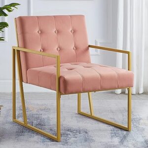 24kf modern blush velvet button tufted accent chair with golden metal stand, decorative furniture chairs for living room bedroom - blush