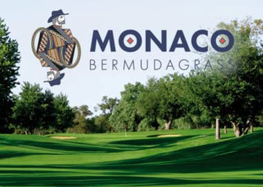 Monaco Bermuda Grass Seed (50 lbs.)