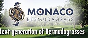 Monaco Bermuda Grass Seed (50 lbs.)