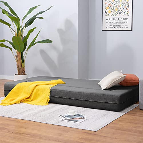 BALUS Folding Sofa Bed Queen Size, 8.6 Inch Floor Sofa Bed Couch Foldable, Memory Foam Futon Couch, Fold Out Sofa Bed Convertible Sleeper Sofa Bed for Living Room/Bedroom/Guest Room/Office