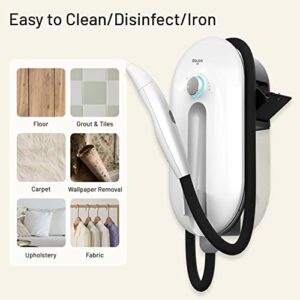 DAYOO Handheld Steam Cleaner - 10s Fast Heating to 221°F, Multifunctional Whole-house Steamer with Food-grade Nozzle for Baby and Pet, Powerful Steam Machine for Cleaning Home Use Hard Floor Car Auto Detailing Garage Grout Tiles Bathroom Upholstery, Wallp