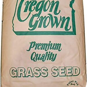 Annual Ryegrass Seeds for Planting - Premium Quality Rye Grass (1 Pound)