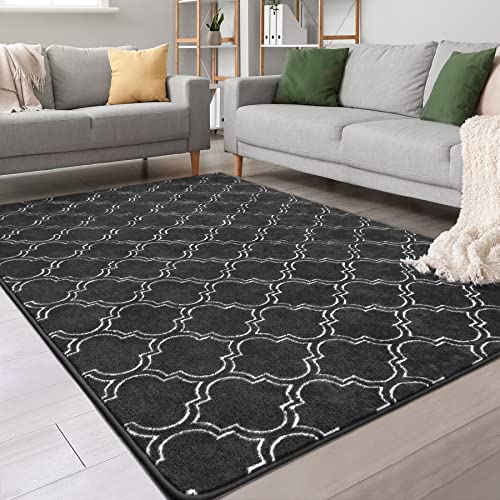 Chicrug Shag Geometric Modern Area Rug for Bedroom, 5x7 Feet Memory Foam Indoor Carpet, Fluffy Rug for Living Room Bedside Room Decor for Family Girls Kids Nursery Play Mat, Dark Grey/White