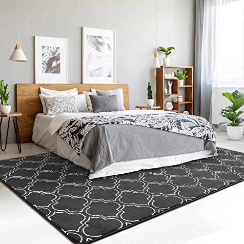 Chicrug Shag Geometric Modern Area Rug for Bedroom, 5x7 Feet Memory Foam Indoor Carpet, Fluffy Rug for Living Room Bedside Room Decor for Family Girls Kids Nursery Play Mat, Dark Grey/White