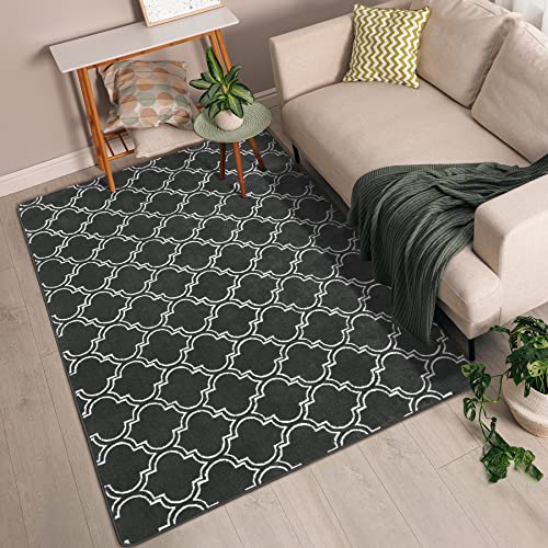 Chicrug Shag Geometric Modern Area Rug for Bedroom, 5x7 Feet Memory Foam Indoor Carpet, Fluffy Rug for Living Room Bedside Room Decor for Family Girls Kids Nursery Play Mat, Dark Grey/White