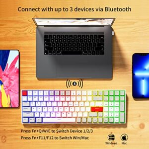 Newmen GM1000 96% Mechanical Gaming Keyboard Wireless Bluetooth/2.4G/Wired USB C Keyboard Compact RGB Backlit Hot Swappable Mechanical Keyboard with Number Pad for Mac/Win Gateron Brown Switches