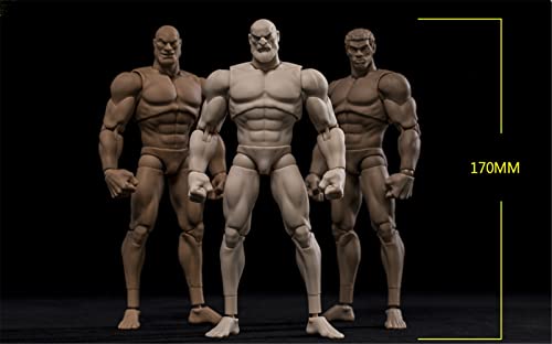 1/12 Scale Male Action Figure,6inch Flexible Muscular Strong Male Action Figure Body Doll Collection (White Skin)