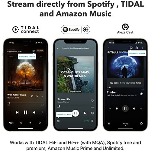 WiiM Pro AirPlay 2 Receiver, Chromecast Audio, WiFi Multiroom Streamer, Compatible with Alexa, Siri and Google Assistant, Stream Hi-Res Audio from Spotify, Amazon Music, Tidal and More