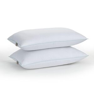 martha stewart down alternative bed queen pillows set of 2, cooling hotel pillow, memory foam-like fiber fill, premium side sleeper dorm pillows for adults, pressure relieving, dobby stripe, white