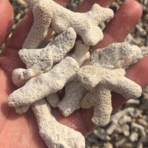 ULTECHNOVO Aquarium Decorative Gravel Natural Crushed Rocks 500g Coral Fish Tank Gravel Decor Aquarium Bottom Landscape Layout Ornaments for Fish Tank(Random Color) Fish Tank Filters