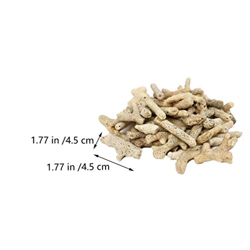 ULTECHNOVO Aquarium Decorative Gravel Natural Crushed Rocks 500g Coral Fish Tank Gravel Decor Aquarium Bottom Landscape Layout Ornaments for Fish Tank(Random Color) Fish Tank Filters