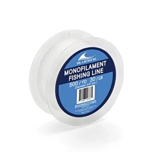 BLUEWING Monofilament Fishing Line Clear Invisible Thin Diameter Fishing String Mono Fishing Line, Dia.0.47mm*500YD*30LB