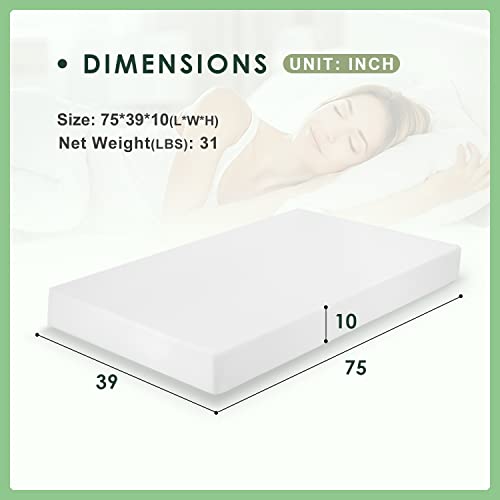 PayLessHere 10 Inch Twin Gel Memory Foam Mattress Fiberglass Free/CertiPUR-US Certified/Bed-in-a-Box/Cool Sleep & Comfy Support