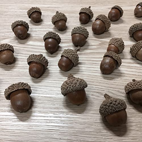 Ciieeo Natural Acorns Top Bulk Real Rustic Acorns Caps for Craft Christmas Thanksgiving Pine Cone Ornament Winter Xmas Tree Wreath Vase Filler Decoration 50PCS