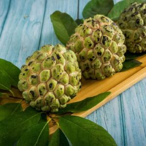 Annona Squamosa Sugar Apple Tree Live Plant 8" Tall - Sugar Apple Fruit Tree for Planting - Sugar Apple Plant (Na Dai)