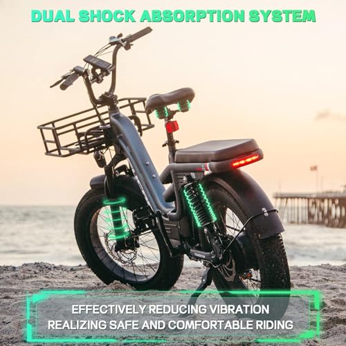 Fucare Libra Electric Bike 750W 32Mph 48V 20Ah Lithium LG Battery 5.0" Color Display 7 Speed 20"X4.0"All-Terrain Fat Tire Full Suspension Ebikes for Adults