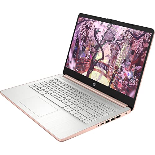 HP Premium 14-inch HD Thin and Light Laptop, Intel Dual-Core Processor, 16GB RAM, 64GB Storage, Long Battery Life, Webcam, Bluetooth, HDMI, Wi-Fi, Rose Gold, Windows 11 + 1 Year Microsoft 365