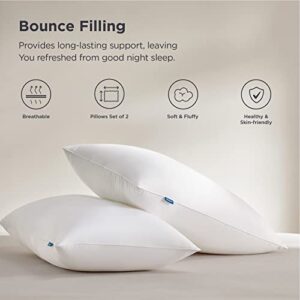 Bedsure Firm Pillows Queen Size Set of 2, Firm Queen Bed Pillows for Sleeping Hotel Quality, Queen Pillows 2 Pack Supportive, Down Alternative Pillow for Side and Back Sleeper