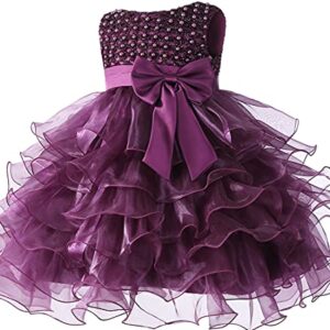 Jup'Elle Adorable Flower Girl Party Dress for Baby Girl, Toddler Girl and Little Girls - Perfect for Birthdays, Pageants and Special Occasions Size 5t