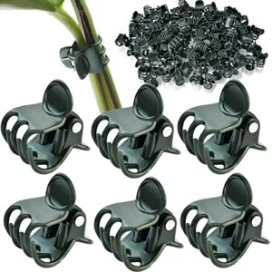 accencyc 100 pcs plant clips orchid clips plant orchid support clips flower vine clips for supporting stems vines stalks climbing plants grow upright