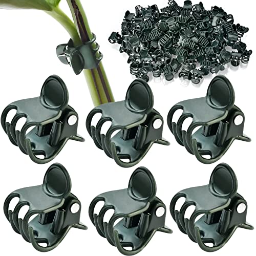 AccEncyc 100 Pcs Plant Clips Orchid Clips Plant Orchid Support Clips Flower Vine Clips for Supporting Stems Vines Stalks Climbing Plants Grow Upright