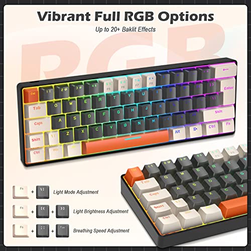 ZIYOU LANG RK-T60 Wired Mechanical Gaming Keyboard and Mouse Combo Portable with Rainbow Backlit 62Key NKRO 6400DPI RGB Honeycomb Mice Coiled Aviator Cable for PS4/PC/WIN Gamer(Dark Gray/Blue Switch)