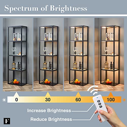 FENLO Fantasy Plus 66" Luxury Glass Display Shelf with Dimmable LED Floor Lamps, Sturdy Curio Cabinet with Bookcase Display Shelves for Bedroom, Open Bookshelf, Black