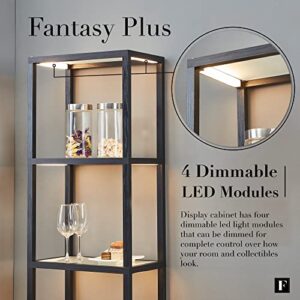 FENLO Fantasy Plus 66" Luxury Glass Display Shelf with Dimmable LED Floor Lamps, Sturdy Curio Cabinet with Bookcase Display Shelves for Bedroom, Open Bookshelf, Black