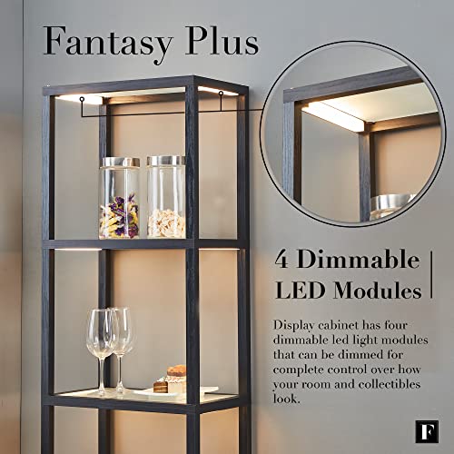 FENLO Fantasy Plus 66" Luxury Glass Display Shelf with Dimmable LED Floor Lamps, Sturdy Curio Cabinet with Bookcase Display Shelves for Bedroom, Open Bookshelf, Black