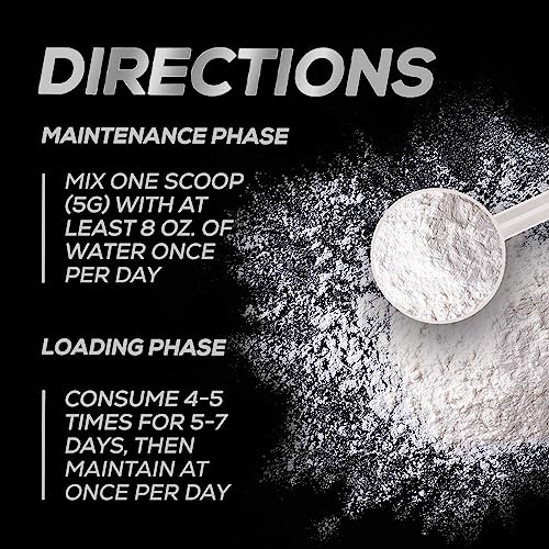 Creatine Monohydrate Powder - 100% Pure Micronized Creatine 5000mg (5g) - Creatine Pre Workout, Supports Muscle Building, Cellular Energy, Recovery & Strength, Vegan, Keto, Gluten-Free - 60 Servings