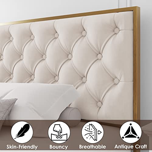 HIFIT King Platform Bed Frame with 4 Storage Drawers, Upholstered with Button Tufted Headboard, Heavy Duty Mattress Foundation with Wooden Slats, No Box Spring Needed, Golden and Beige