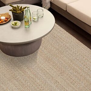sisosu performance braided area rug - carpets for living room, bedroom, dining room, home décor - luxurious handcrafted traditional rug - pet-yarn - modern rugs- 4’ x 6’-beige