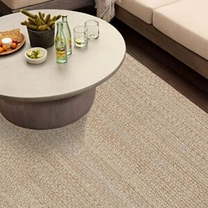 SISOSU Performance Braided Area Rug - Carpets for Living Room, Bedroom, Dining Room, Home Décor - Luxurious Handcrafted Traditional Rug - PET-Yarn - Modern Rugs- 4’ x 6’-Beige