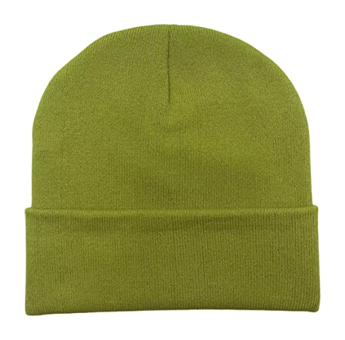 Bioworld Dr. Seuss The Grinch Who Stole Christmas Hat Character Cuff Beanie Cap Licensed New