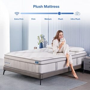 Lechepussleep King Mattress, 14" Hybrid Memory Foam Mattresses with Pocket Springs,Mattress in Box,Plush Mattress for Cool Sleep & Back Pain Relief,CertiPUR-US Foam,10-Years Support (Lc-1903-3350)