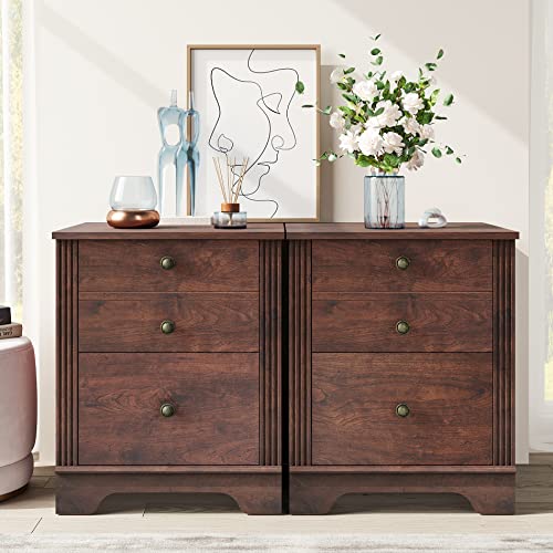 Set of 2 Nightstands End Tables with 2 Drawers, Wood Side Table Bedside Storage for Bedroom, Living Room, Walnut, 23 Inch Height