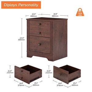 Set of 2 Nightstands End Tables with 2 Drawers, Wood Side Table Bedside Storage for Bedroom, Living Room, Walnut, 23 Inch Height