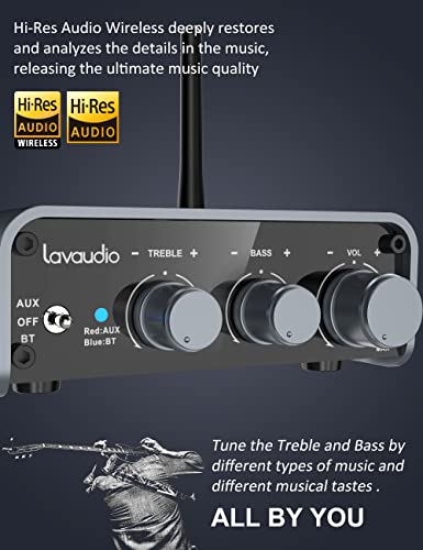 Lavaudio DS300 Bluetooth 5.1 Amplifier Receiver Home Stereo System Components - Mini Hi-Fi Class D Integrated Amp 2 Channel 100W×2 for Home Theater Audio