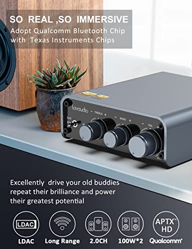 Lavaudio DS300 Bluetooth 5.1 Amplifier Receiver Home Stereo System Components - Mini Hi-Fi Class D Integrated Amp 2 Channel 100W×2 for Home Theater Audio
