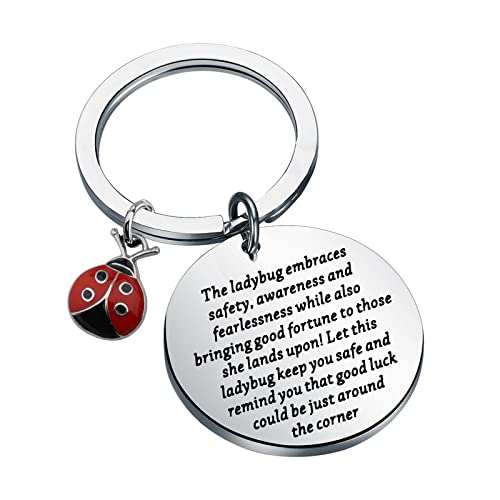 ENSIANTH Ladybug Keychian Good Luck Ladybug Keychain Insect Lover Gift Animal Researchers Jewelry Beetle Ladybug Gift Best Friend Gift (Ladybug Key)